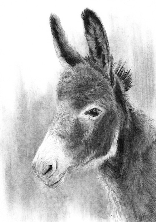 How-to-create-different-textures-with-charcoal-donkey