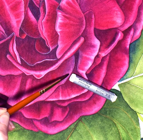 how-to-paint-a-rose-11