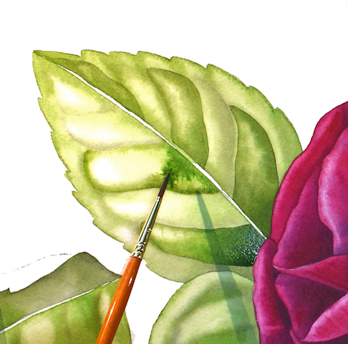 how-to-paint-a-rose-8