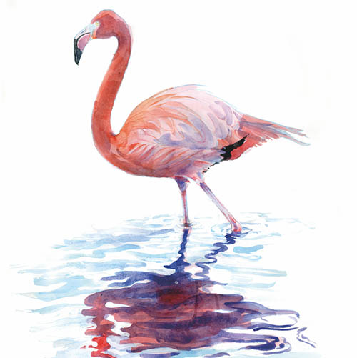 how-to-sketch-with-confidence-flamingo
