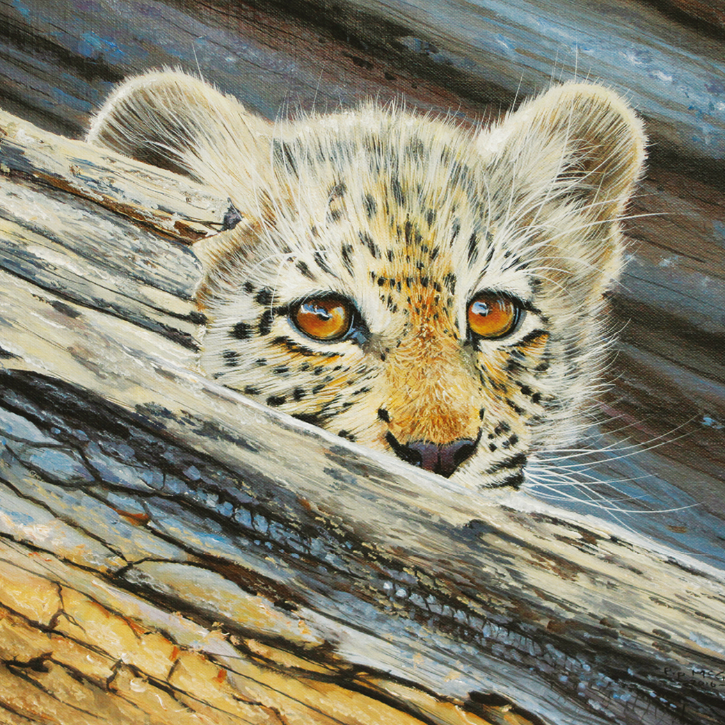野生动物艺术:绘画豹幼崽