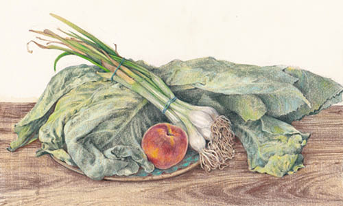 如何像Giovanna Garzoni那样画水果和蔬菜