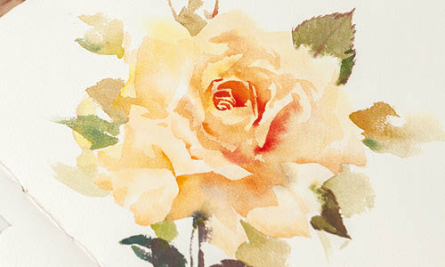 画玫瑰:如何混合完美的颜色